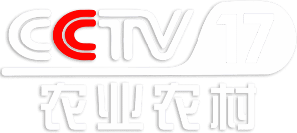 cctv17
